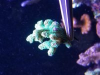 20181219_212902.jpg