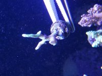 20181219_213027.jpg