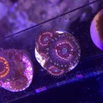 IMG_7960.JPG