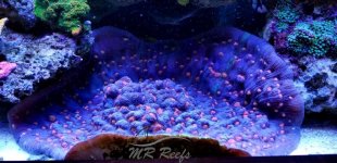 WaterMark_2018-06-16-09-59-03.jpg WaterMark_2018-06-16-09-59-03.jpg