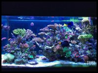 37EDCC01-A48C-41E8-A85D-9CA7238C91C7.jpg