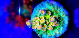 20190510_084515.jpg