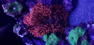 20180910_185555.jpg