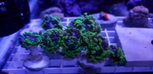 20180909_172912.jpg