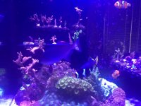 IMG_0913.JPG