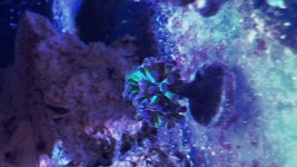 C0057F45-FC60-4F45-B0ED-50AC3EA454C5.jpg