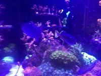 IMG_0911.JPG