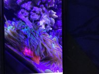 0B428066-87D4-4B8F-AD06-845B1A1C1FA7.jpg