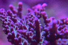 IMG_4492.JPG