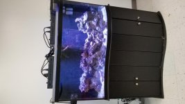20180517_102041.jpg