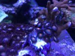 5581B27E-FD64-4C72-86E5-3314B3E3A79F.jpg