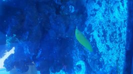 20180824_163640.jpg