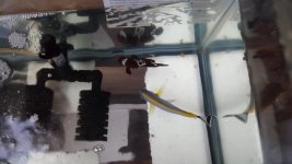 20180824_073012.jpg