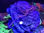 0D864245-9E60-4D70-A972-67C3E0C1FCC3.jpg