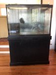 Fish Tank.jpg