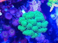 2018-12-21-22-47-18.jpg