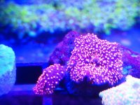 2018-12-21-22-46-16.jpg