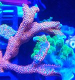 2018-12-21-22-54-33.jpg