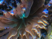 00F44365-F1D1-4454-8334-10979A5B11F5.jpg
