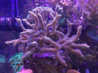IMG_7096.jpg