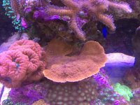 IMG_7098.jpg