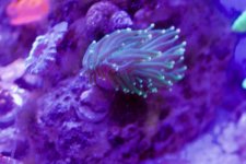 IMG_0411.jpg
