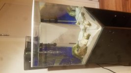 20181223_090142.jpg