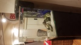 20181223_090153.jpg