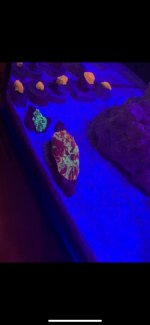 IMG_3250.jpg