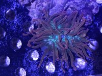 25660924-7B13-46BB-95CF-42E13B4D0BD2.jpg