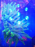 2019-07-30_15.29.28.jpg