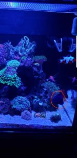 Screenshot_20181227-125810_Gallery.jpg