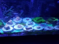 20181227_125947.jpg