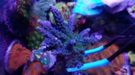 IMG_20190515_193719_553.jpg