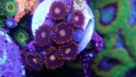 IMG_20190515_193727_523.jpg