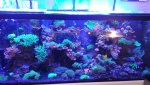 20181103_160021.jpg