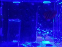 20190228_112846.jpg