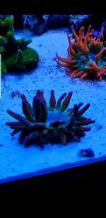 Screenshot_20181228-114910_Gallery.jpg