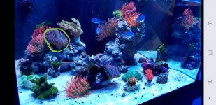 Screenshot_20181228-115038_Gallery.jpg