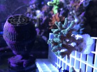 C7B36F91-5055-4717-8F1F-2C1ABE21F5A4.jpg