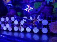 20190228_130519.jpg