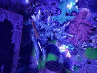 20190228_130451.jpg