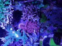 20190228_132727.jpg
