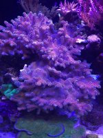 IMG_0822.jpg