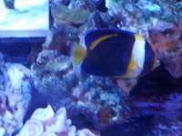 20181003_235003_001.jpg