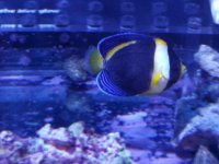 20181003_234956.jpg