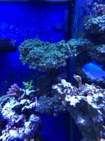 IMG_6578 copy.jpg