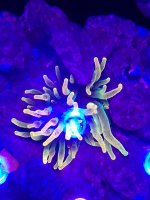 IMG_20190725_234714.jpg