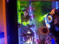 20180711_111353.jpg