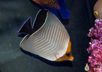 IMG_8428.jpg